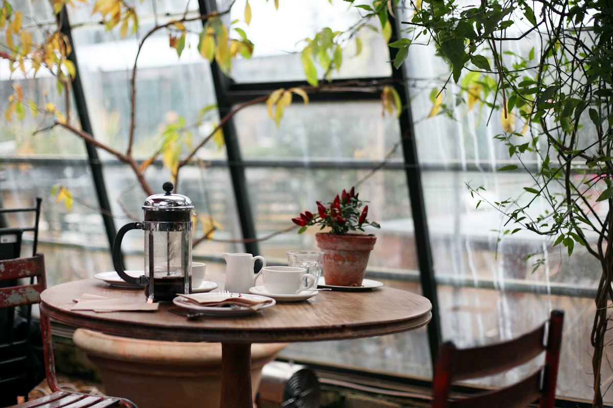 Coffee for two by a rainy window among plants